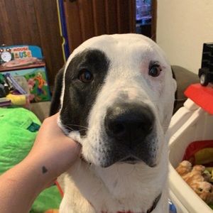 Meet your Posher, Micah